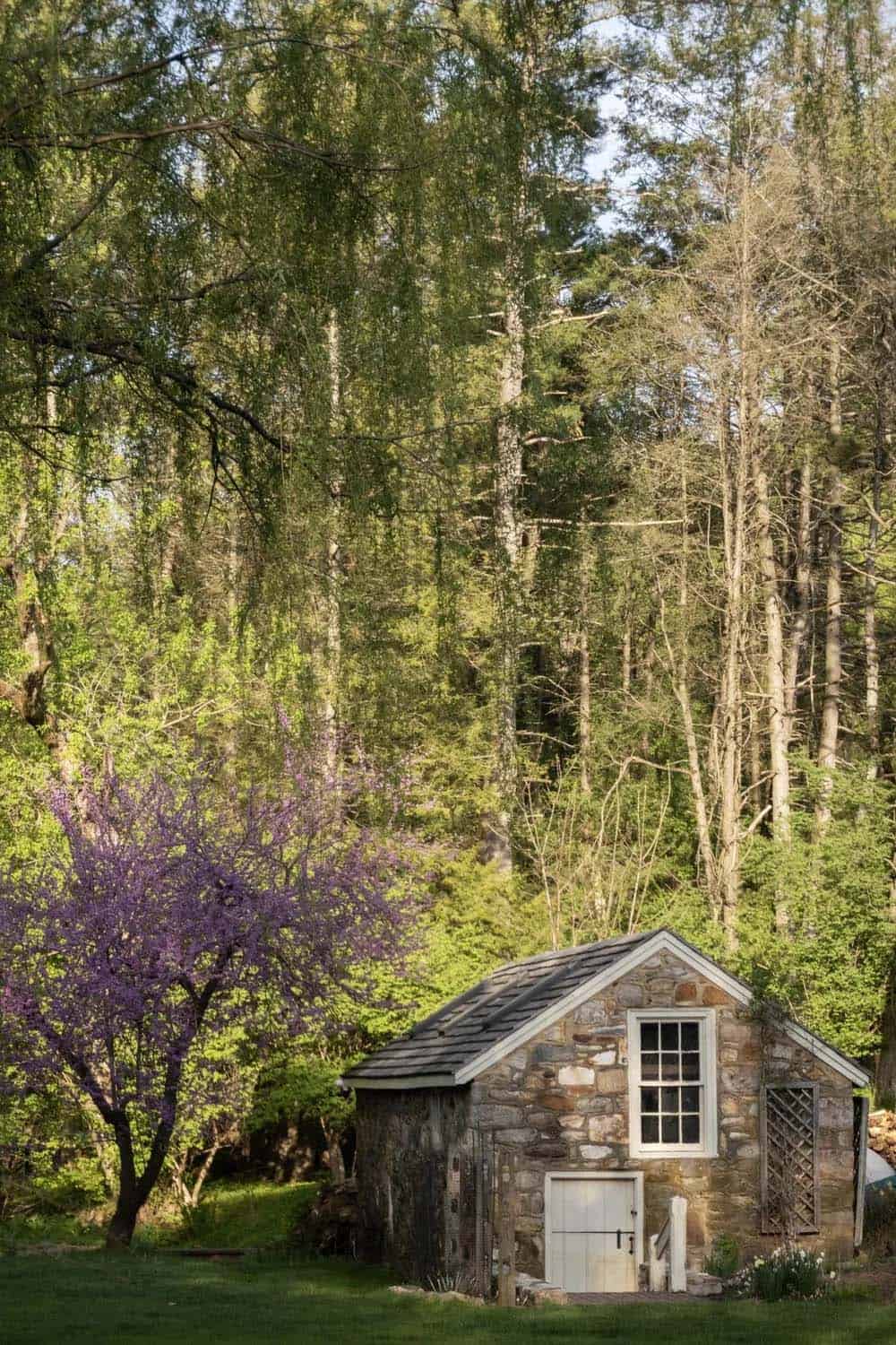 Small stone outbuilding nestled among trees with a blooming redbud tree nearby