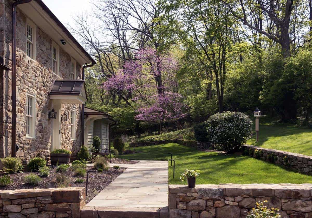 Stone walkway leading along the house past garden walls and a flowering redbud tree