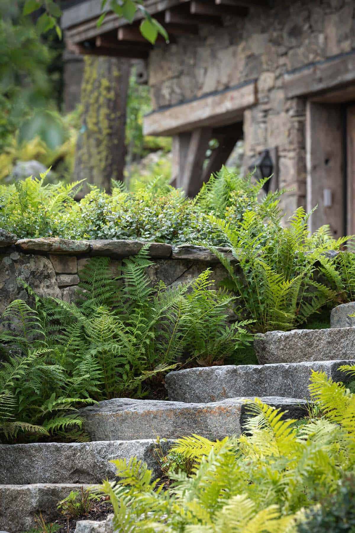 Granite steps and ferns leading to stone cabin entrance