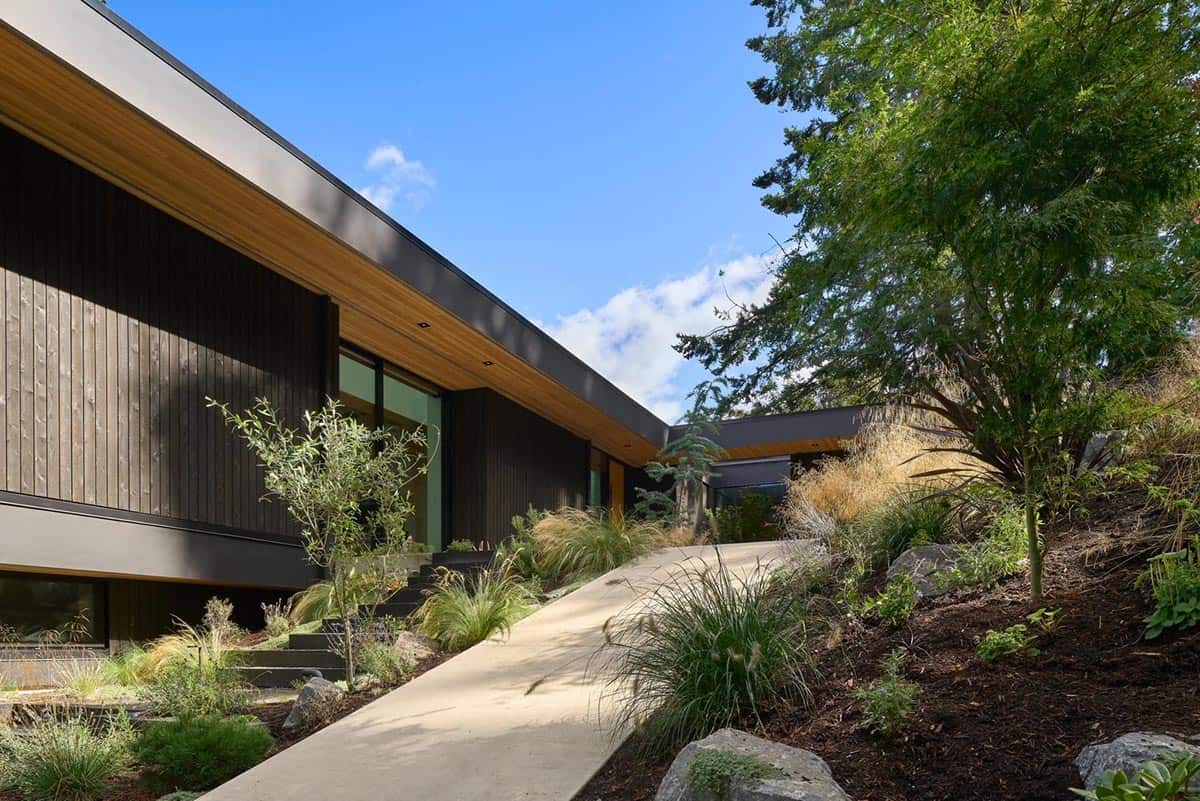 Concrete walkway winding up to Layer House through native hillside plantings
