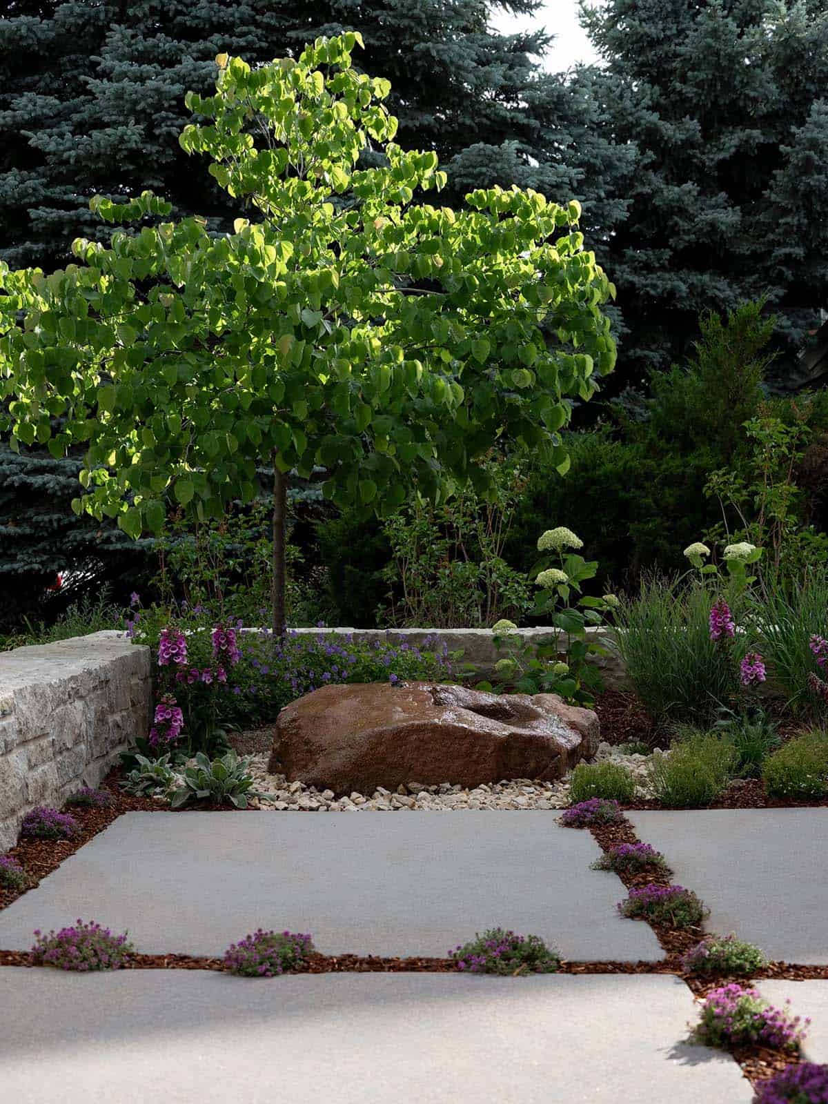 Garden boulder feature with bubbling rock, foxglove, and hydrangea beside a concrete paver path