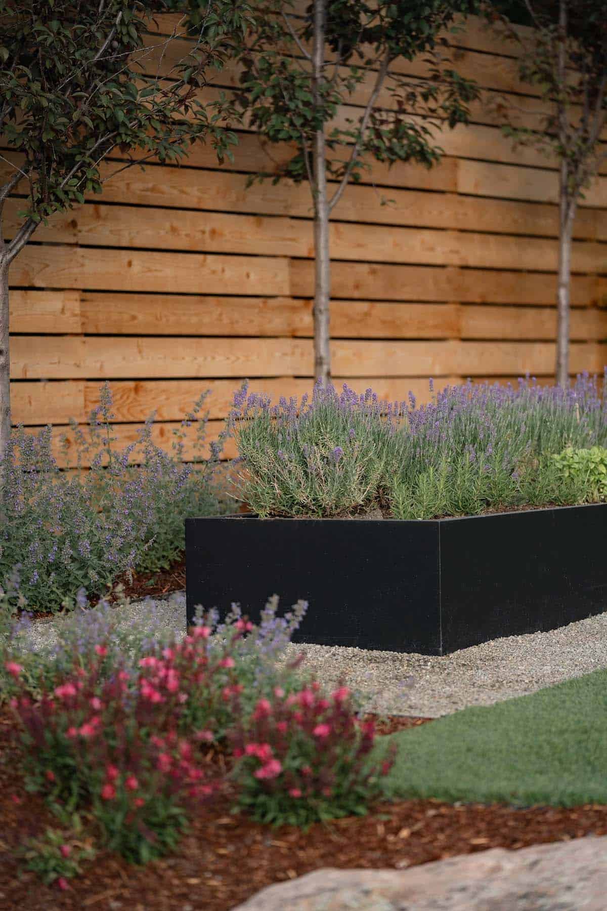 Black metal planter box filled with lavender and herbs beside a wood slat fence and gravel path