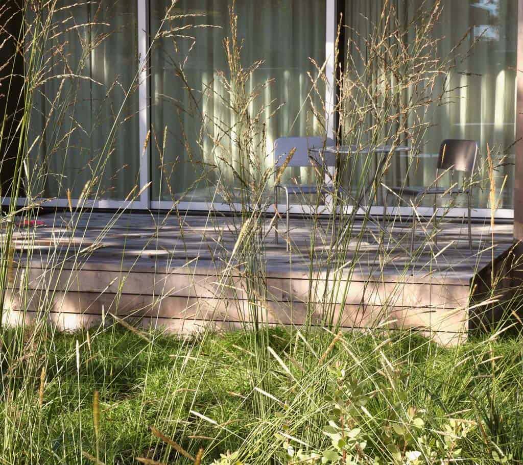 Native grasses and ornamental plantings against the bungalow's rear deck and glazing