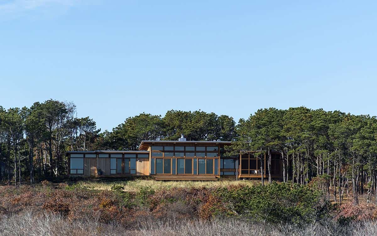 Distant view of a low-profile mid-century modern home nestled among pitch pines above autumn dune scrub, Cape Cod, Massachusetts
