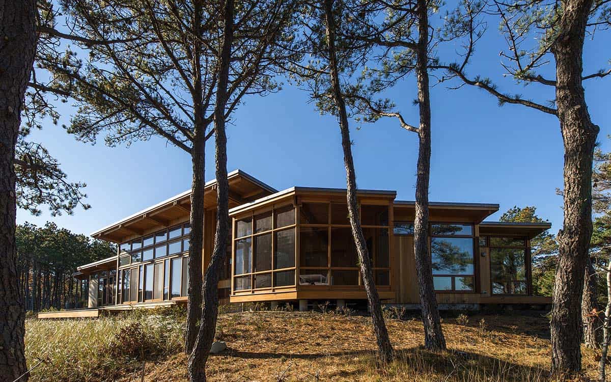 Rear exterior of a cedar-clad mid-century inspired house with angled rooflines and expansive glazing, framed by coastal pine trees