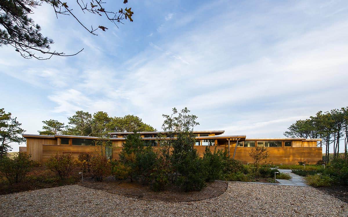 Entry approach to a mid-century modern home with horizontal cedar siding, clerestory windows, and a gravel driveway lined with native plantings