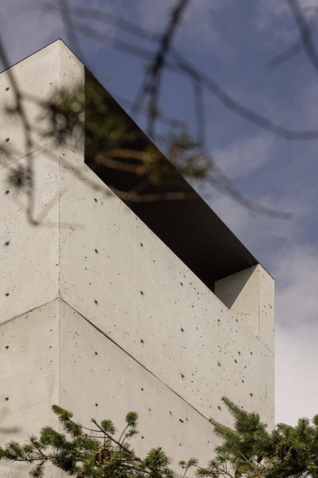 Upward view of the concrete tower's angled roofline framed by pine branches against a blue sky