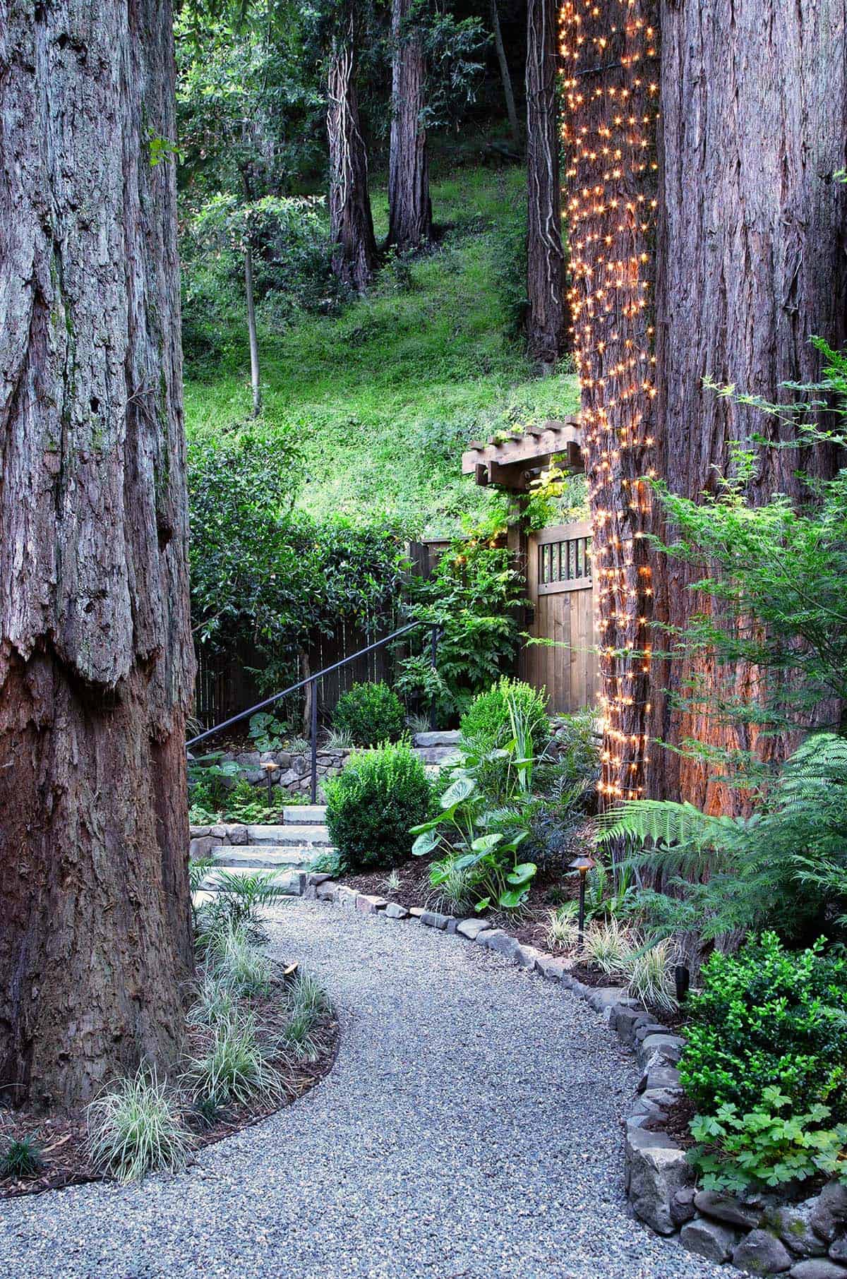 Gravel garden path between redwood trees with fairy lights, leading to a wooden gate