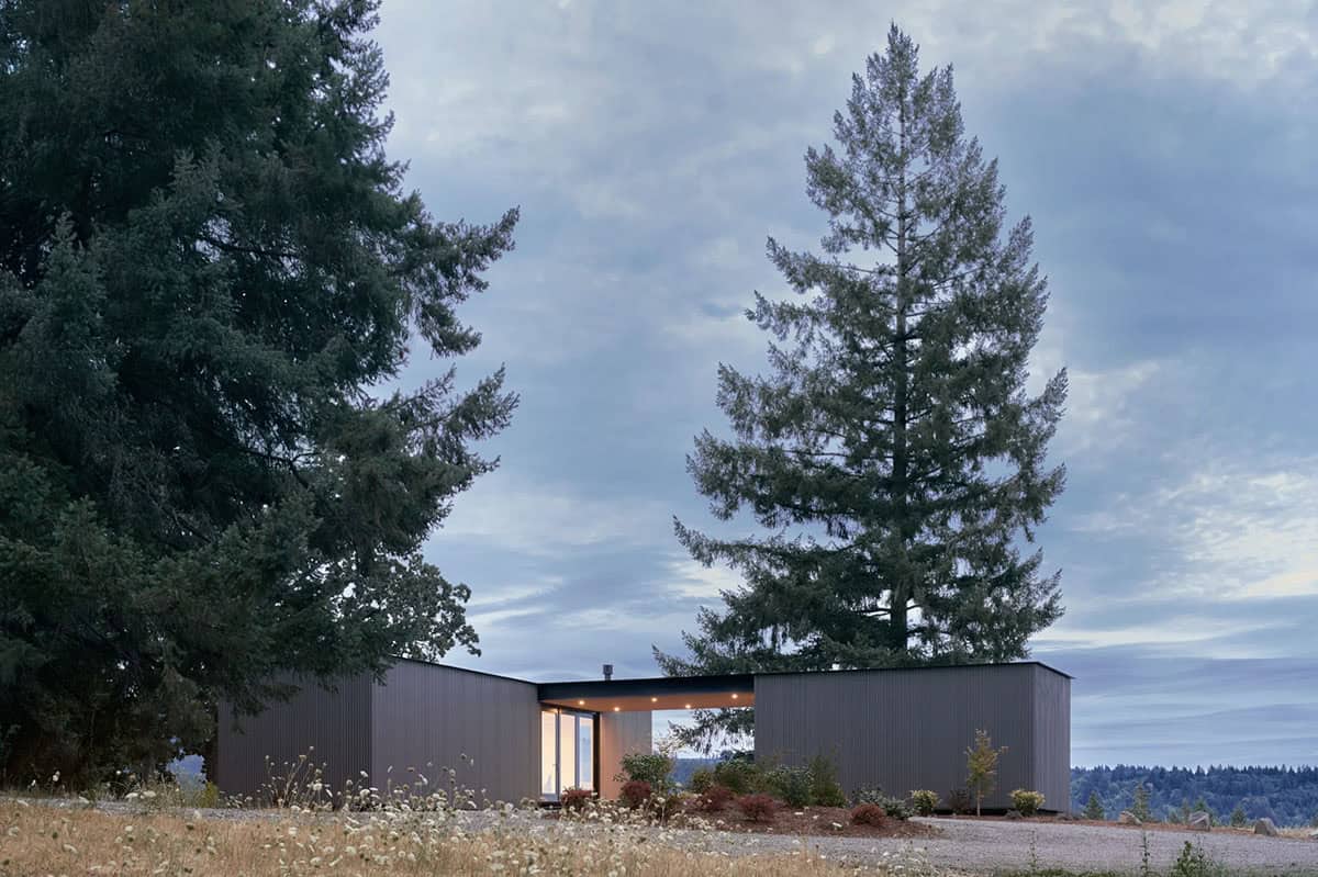 Modern dark-clad home nestled between tall pine trees at dusk