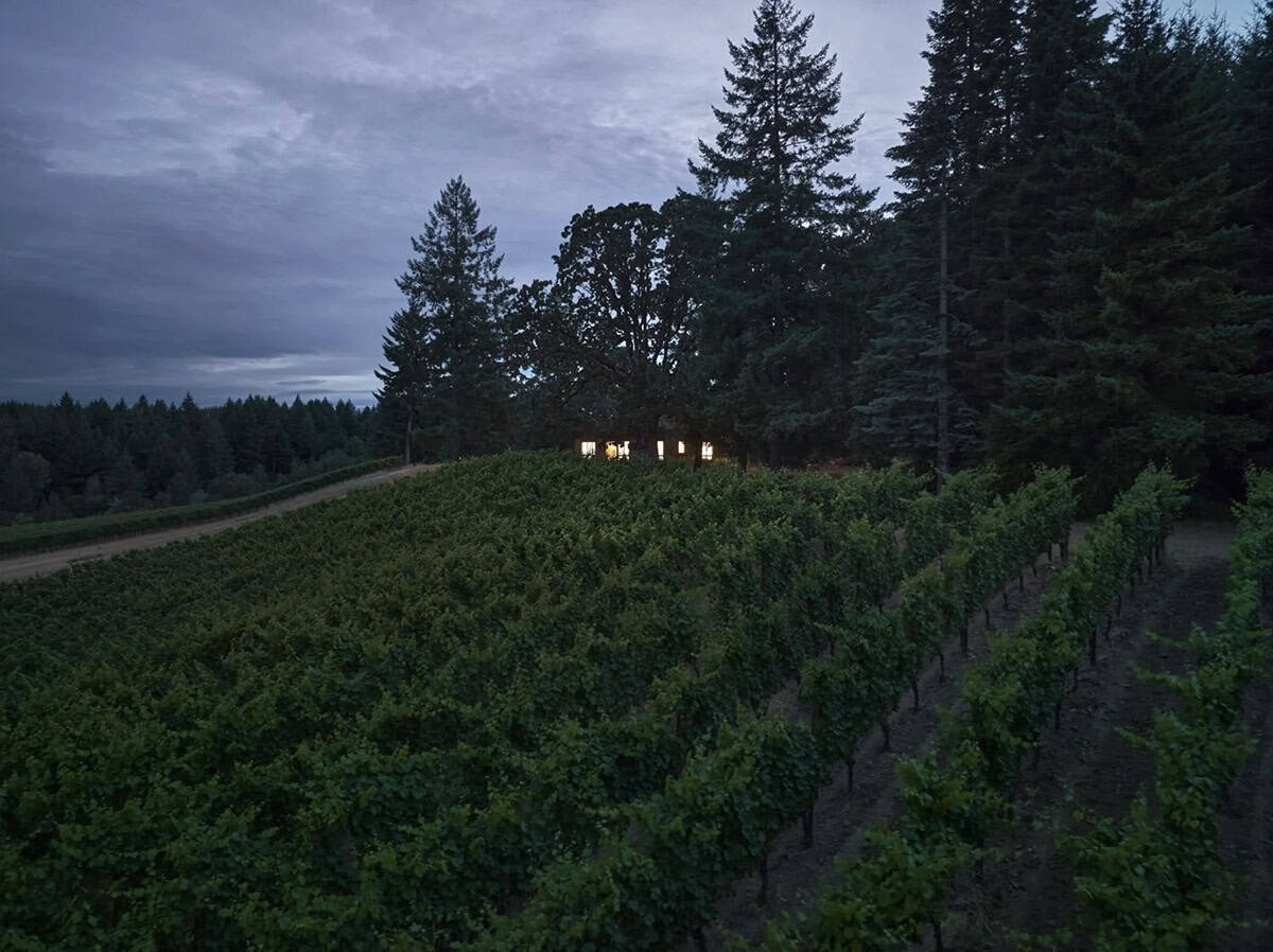 Illuminated retreat seen across rows of grapevines at twilight