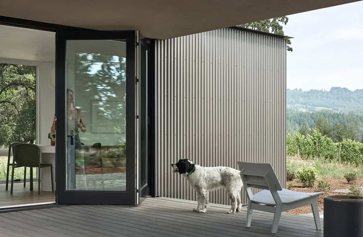 Dog standing on deck beside open glass door and vineyard view