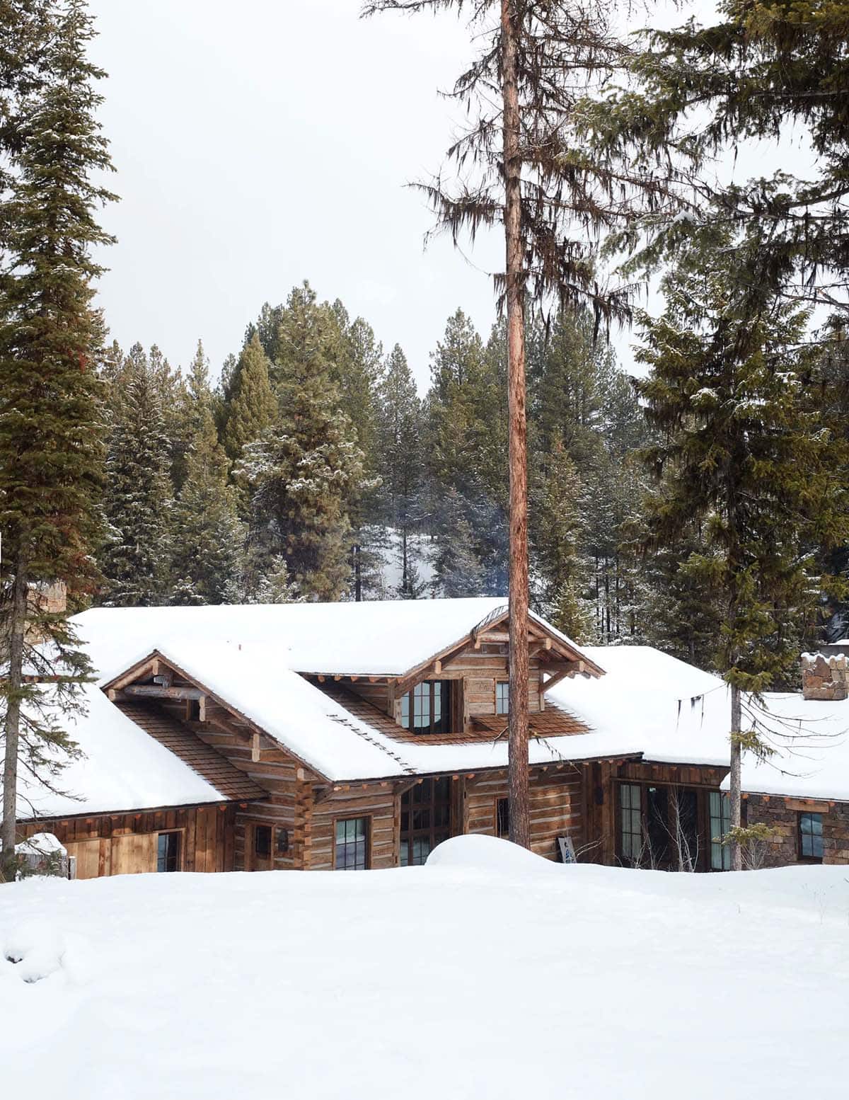 Snow-covered log cabin exterior with dormers nestled among pine trees