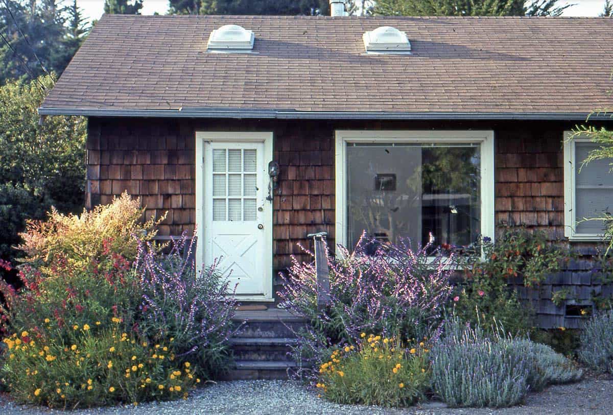 Drought-tolerant front garden with purple Mexican sage flanking a wood entry deck in Aptos, CA