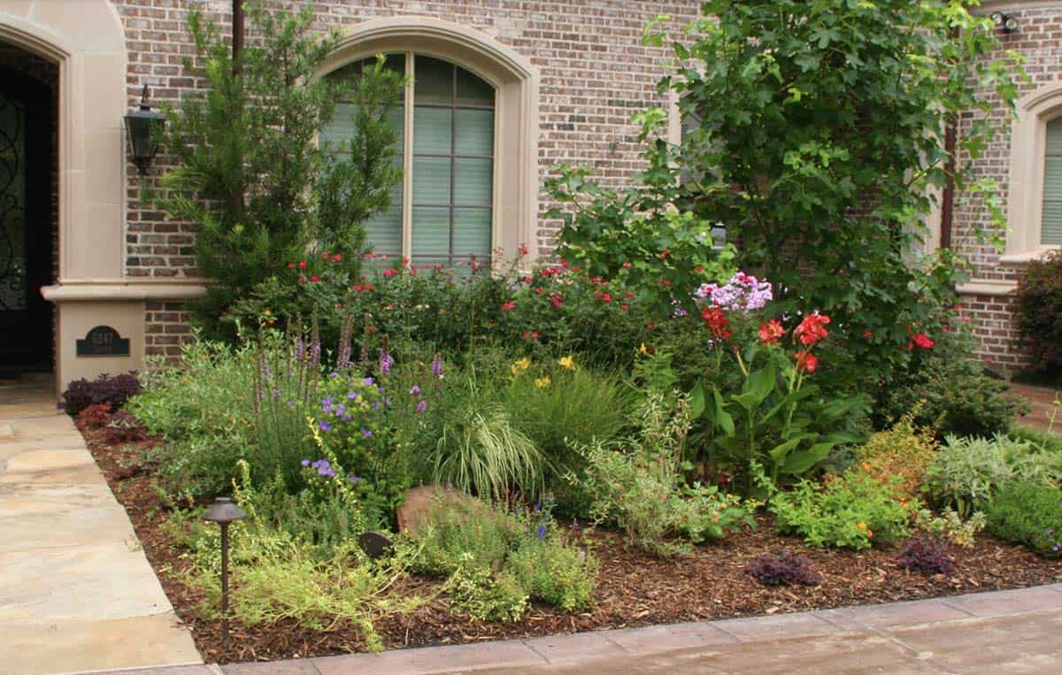 Lush English-style front garden border with canna lily, phlox, and roses at a Dallas home