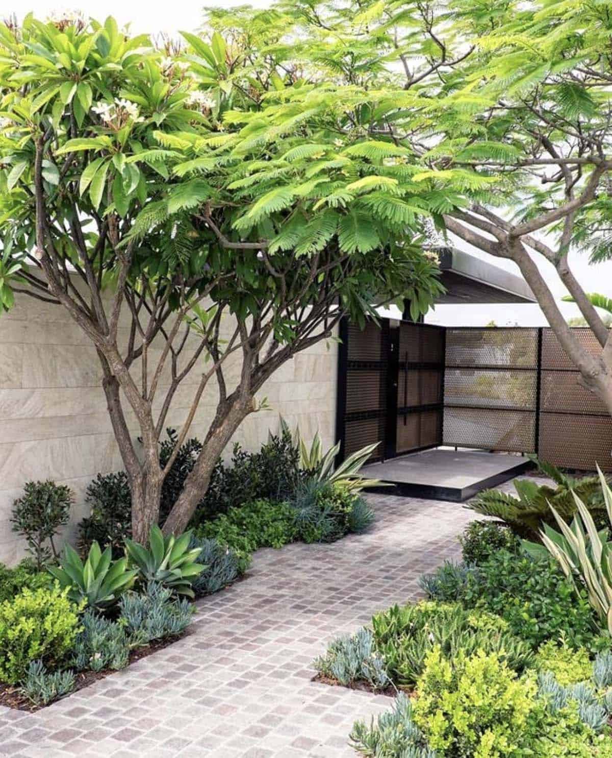 Densely planted front garden with frangipani tree, agave, and a cobblestone path in Perth