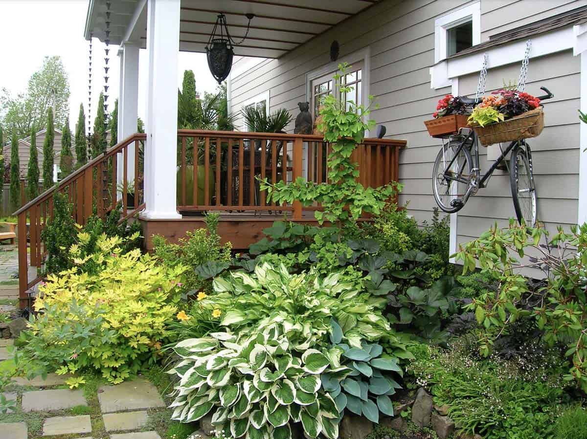Shade garden bed with variegated hosta, golden bleeding heart, and daylilies below a Seattle porch