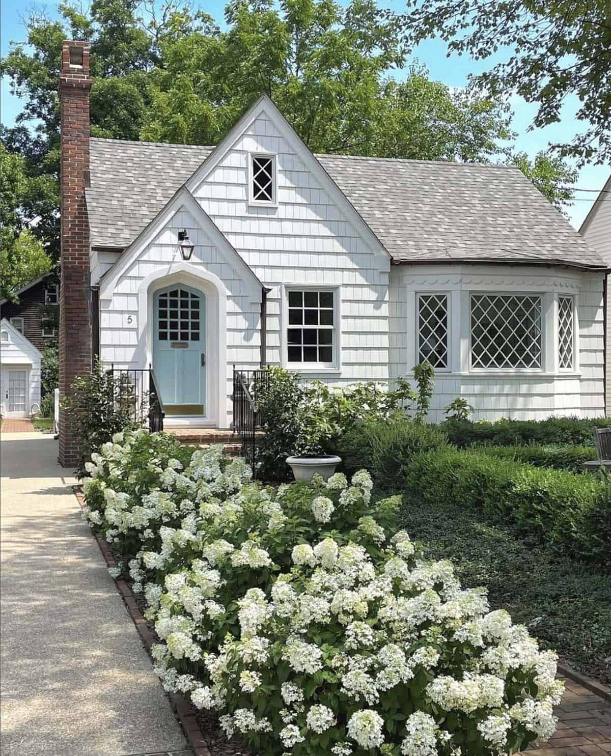 White hydrangea border lining the walkway at a cottage home in Annapolis, Maryland