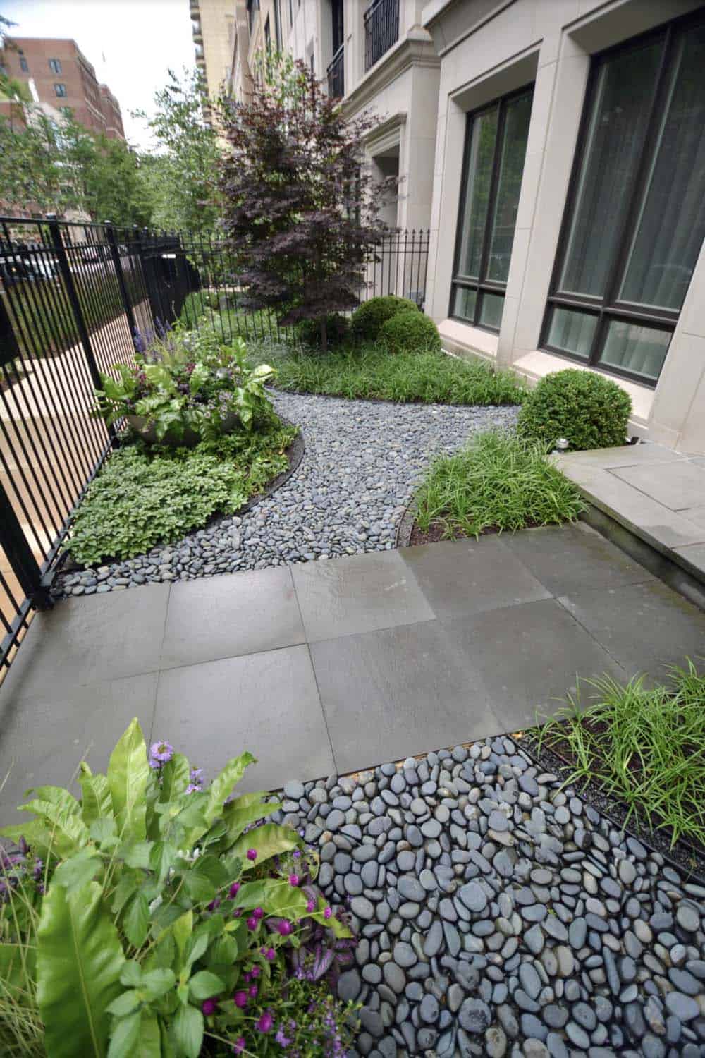 Small front garden with Mexican pebble stone, bluestone pavers, and boxwood at a Chicago row house