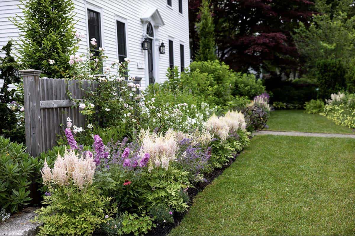 Layered perennial border along a wood fence at a historic white home in Portland, Maine
