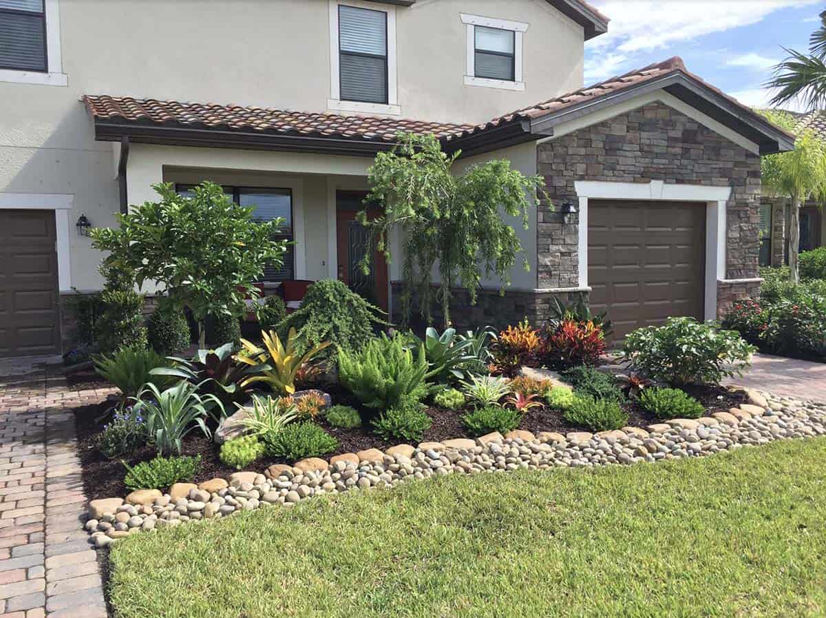 Tropical front garden bed with croton, bromeliads, and a weeping conifer in Tampa, Florida