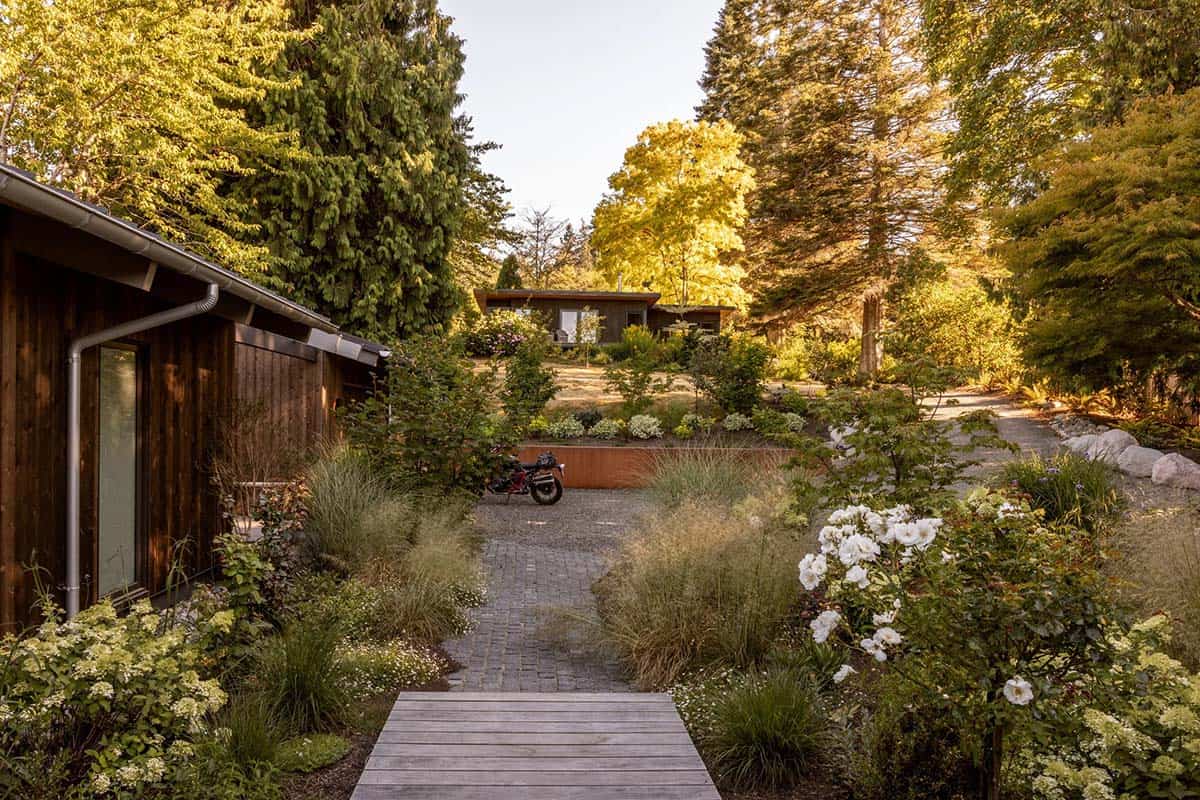 Landscaped garden path between buildings with ornamental grasses, white roses, cobblestone walkway, and a Corten steel planter