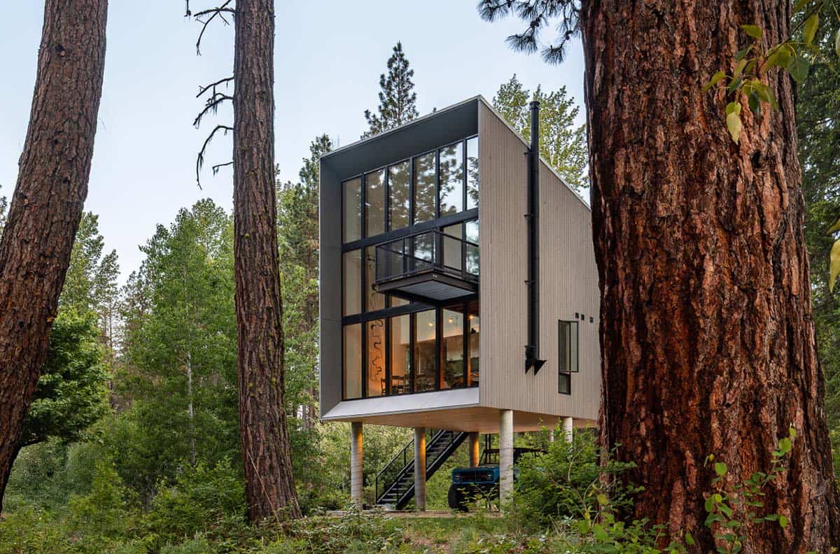 Modern elevated cabin with floor-to-ceiling steel-framed windows between old-growth pines