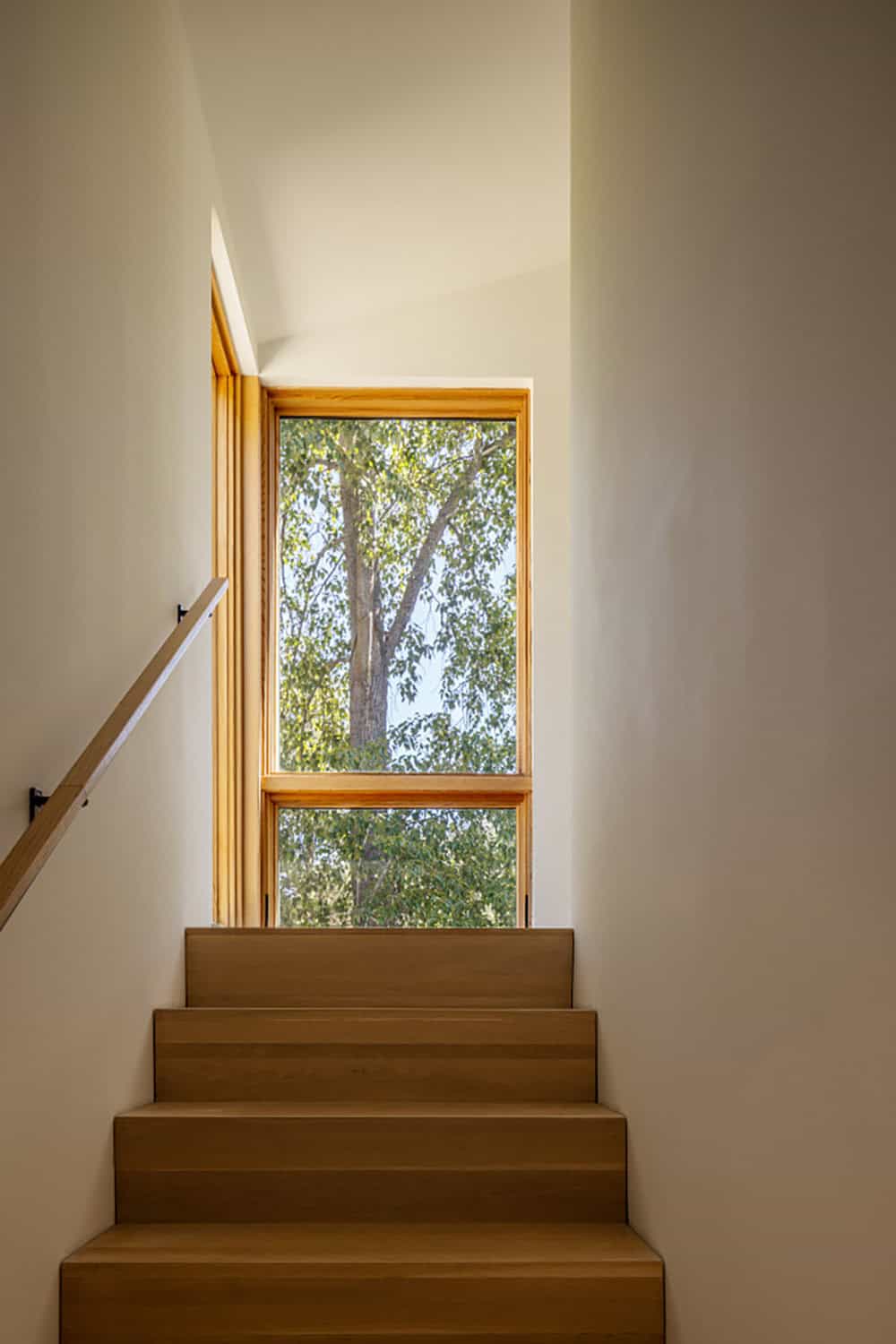 Wood staircase with oak handrail and framed window view of aspen tree