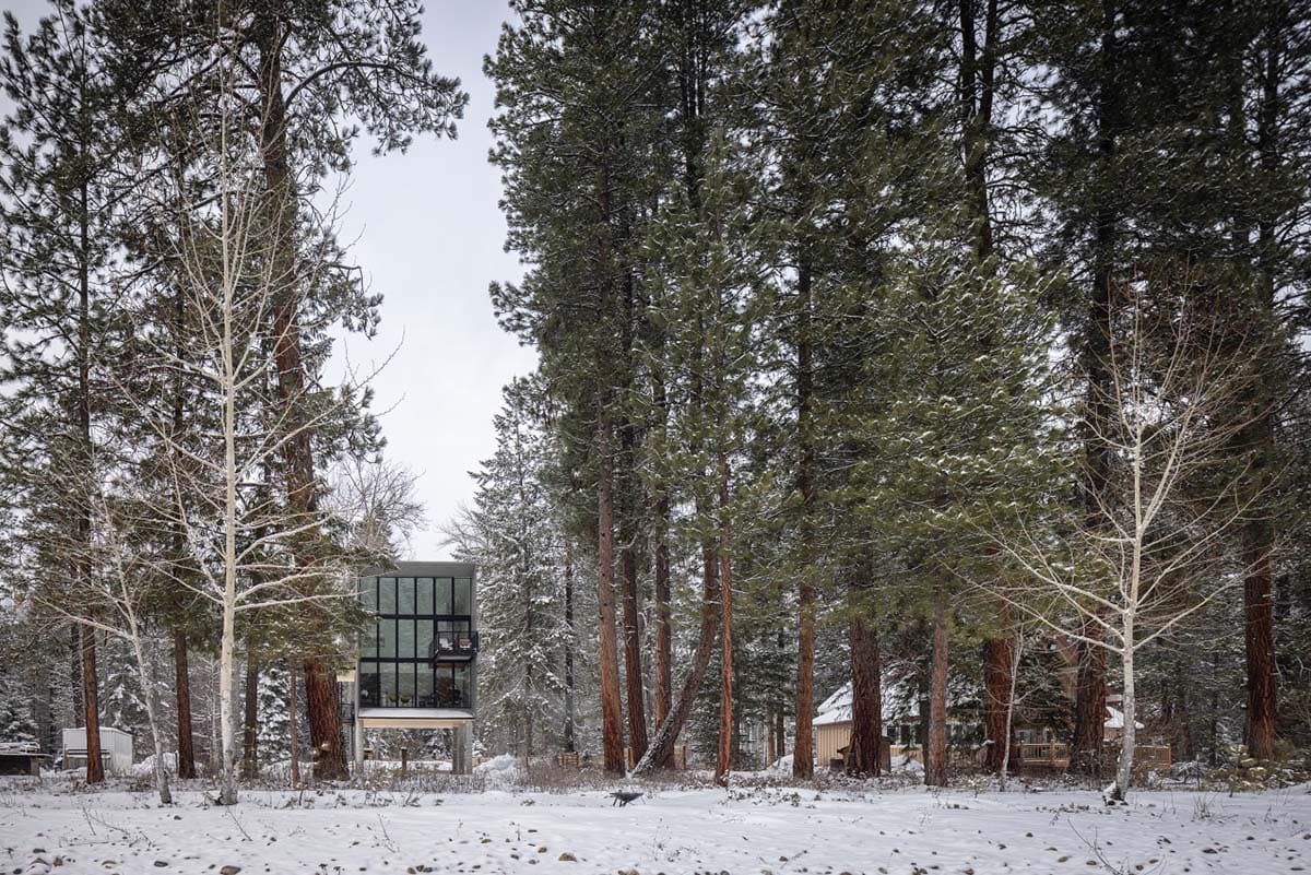 Glass and steel cabin elevated above snowy forest floor seen through pine trees