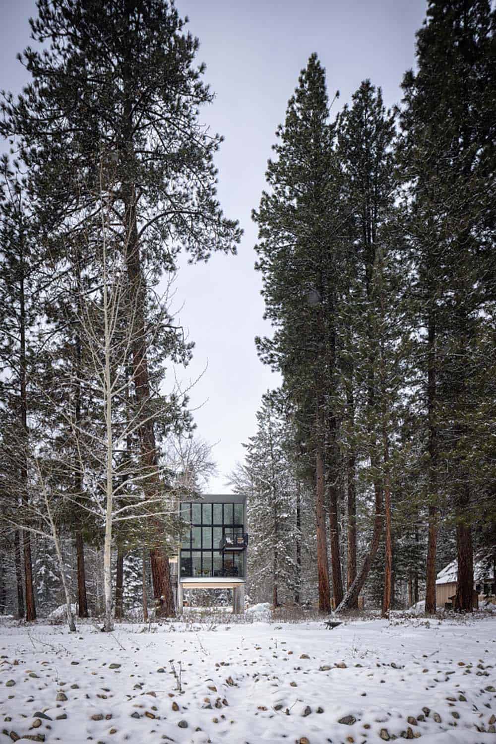 Modern cabin with full-height glazing receding into snowy pine forest