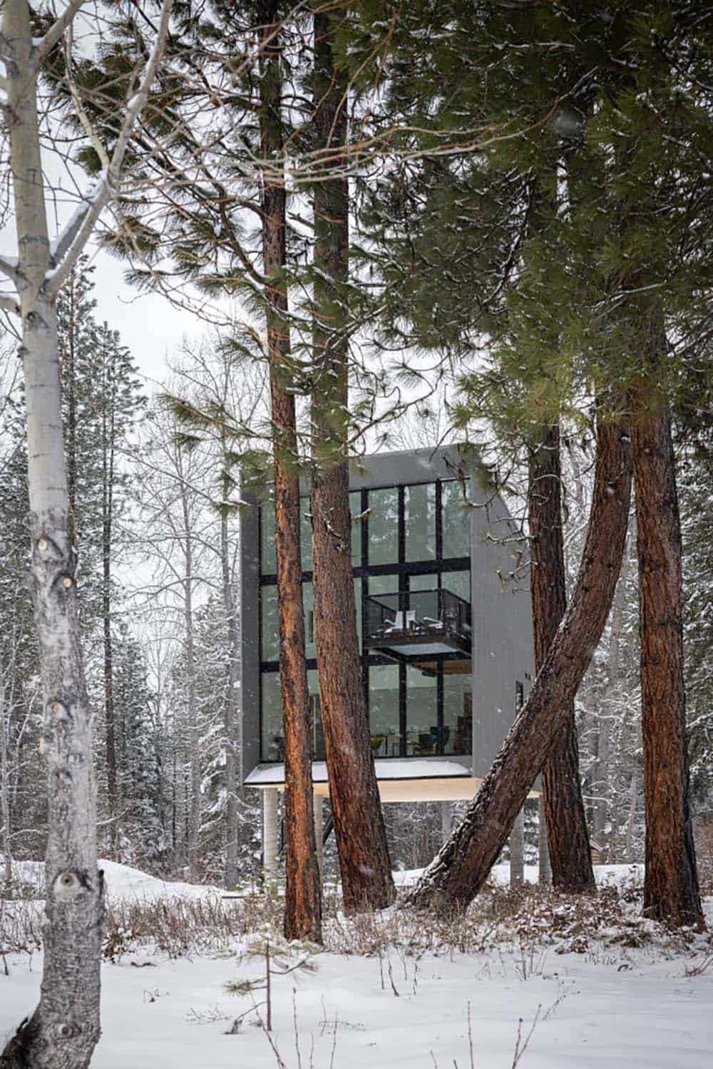 Glass cabin on stilts seen through crossed snow-covered pine trunks in winter