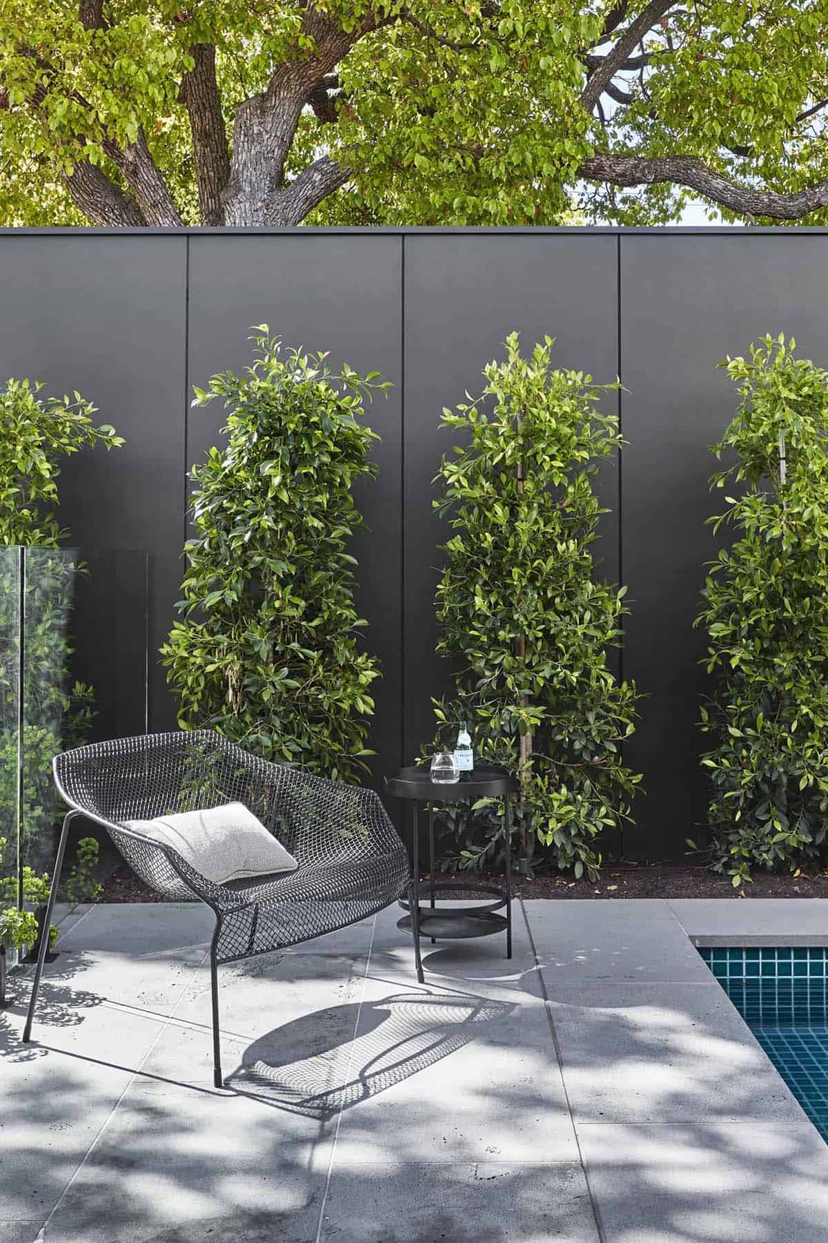 Trained climbing vines against a black fence beside a modern poolside patio with lounge chair