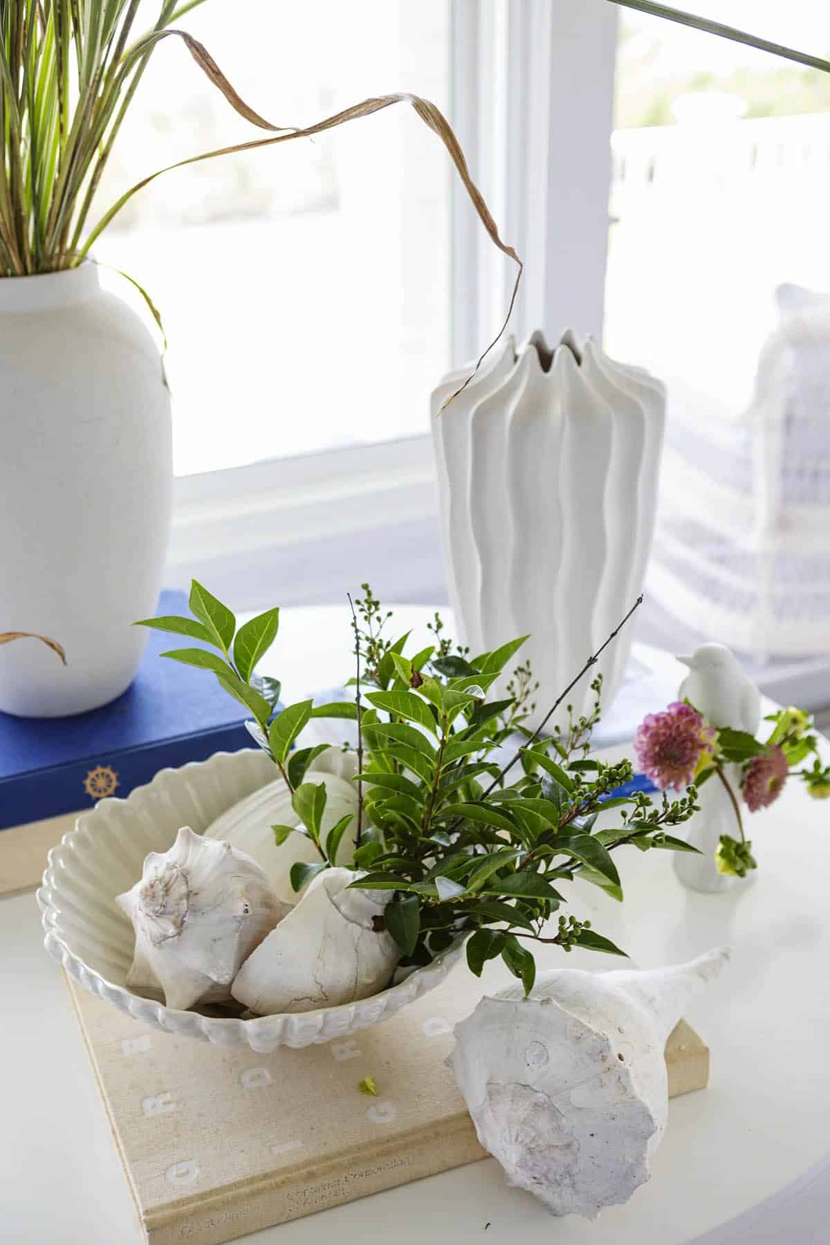 Coastal vignette with seashells, greenery, and white ceramic vases