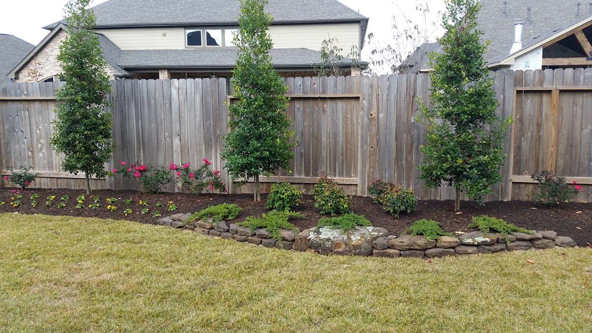 Columnar evergreen trees and roses planted along a wood fence with a natural stone edge