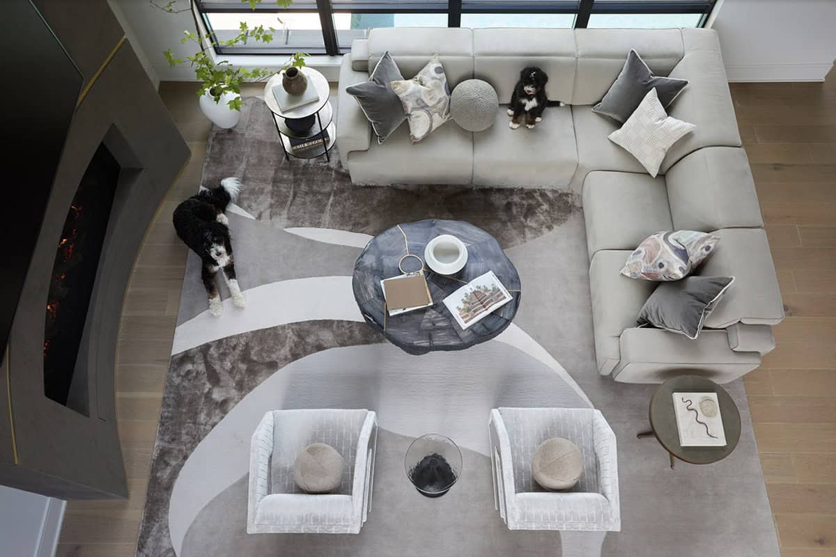 Overhead view of a living room sectional, patterned area rug, coffee table, and two dogs
