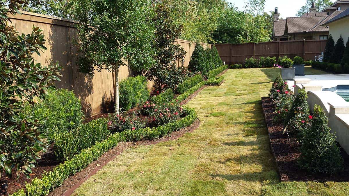 Layered fence line with boxwood hedges, roses, and trees framing a backyard lawn