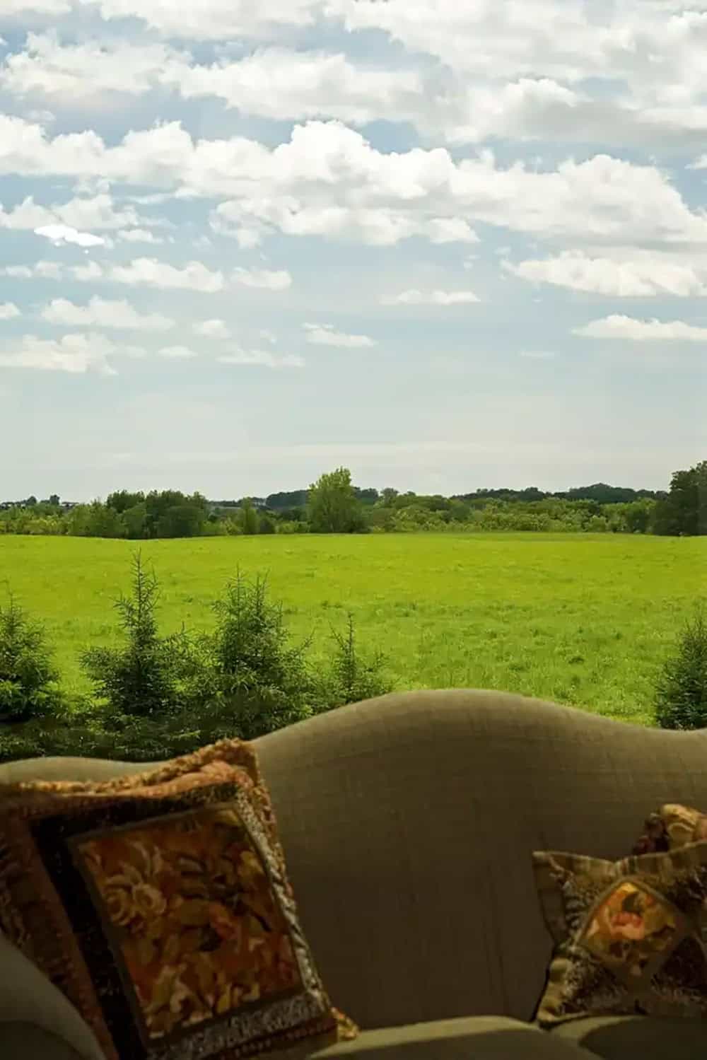 View of open pasture and tree line from screened porch seating