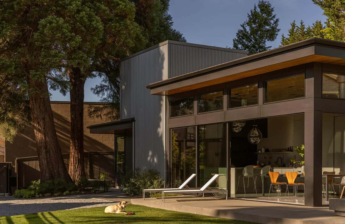 Dog resting on the lawn beside the glass-walled kitchen wing at golden hour