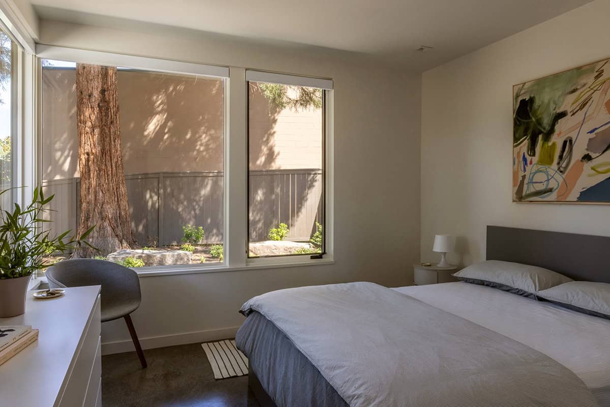 Bright bedroom with a gray headboard and windows facing a sequoia trunk