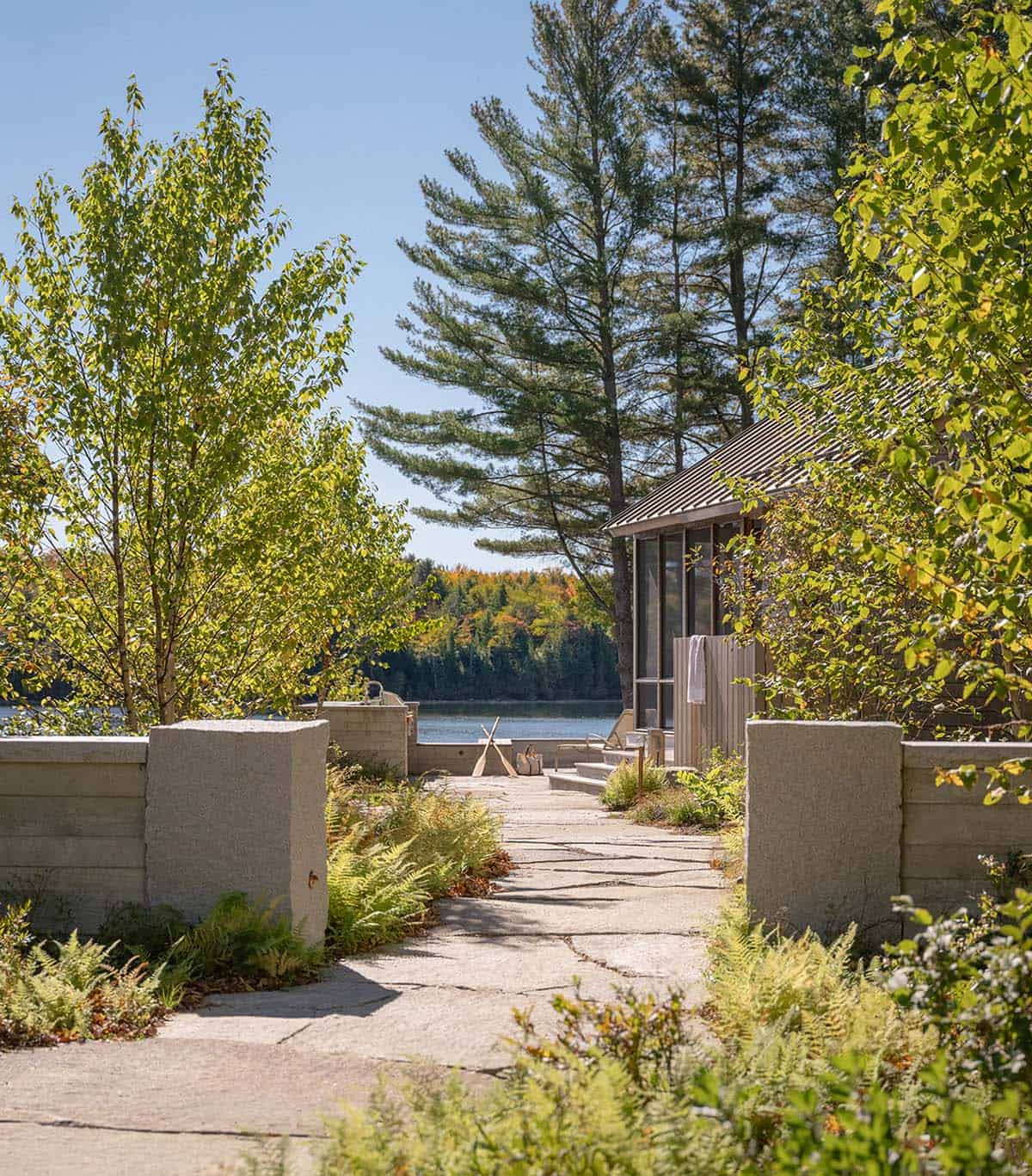 Stone pathway leading to a lakeside guest house, flanked by ferns and birch trees