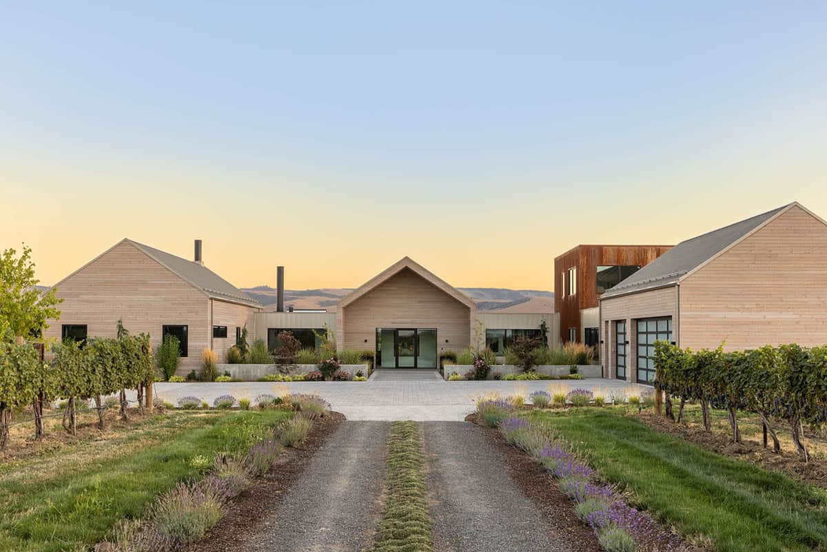 Modern gable-roofed vineyard home at sunset with lavender-lined gravel driveway