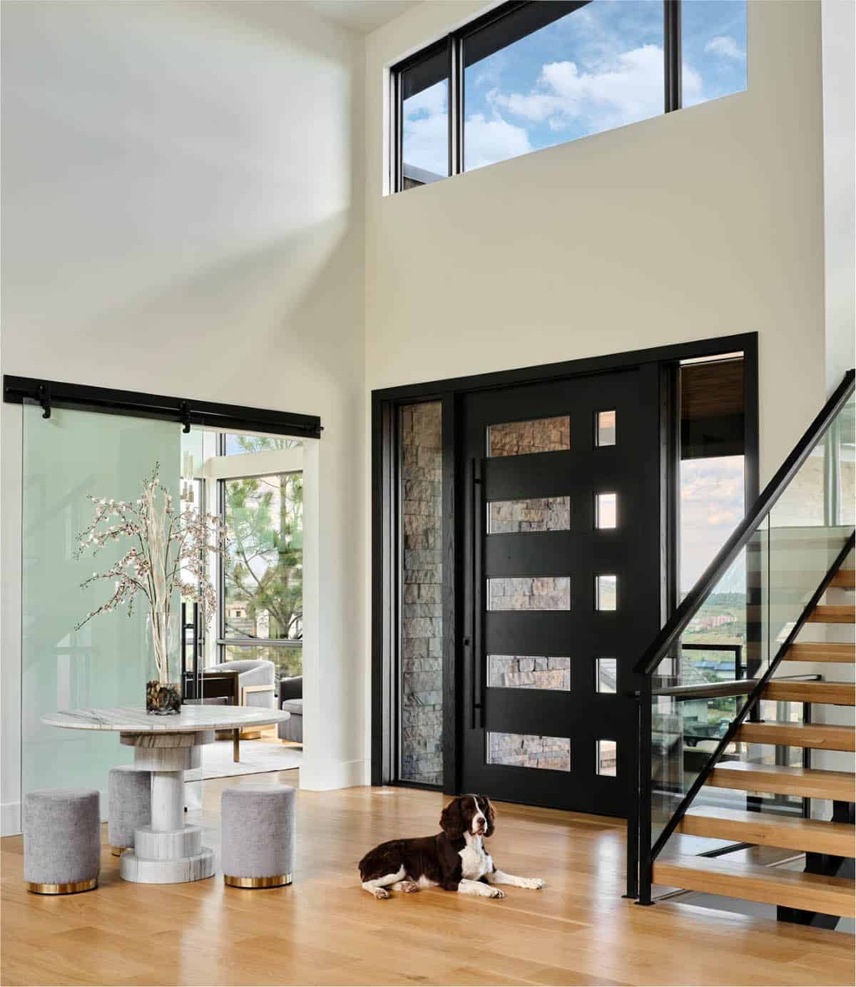 Entryway with black front door, dog lying on wood floor, and glass barn door