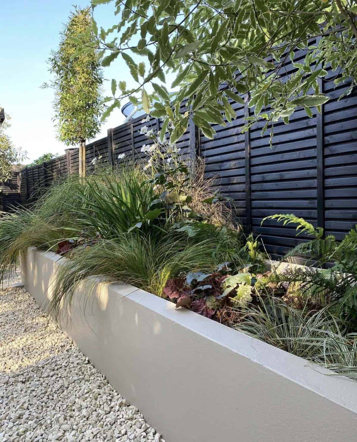 Ornamental grasses and dark foliage in a raised planter along a black slatted fence