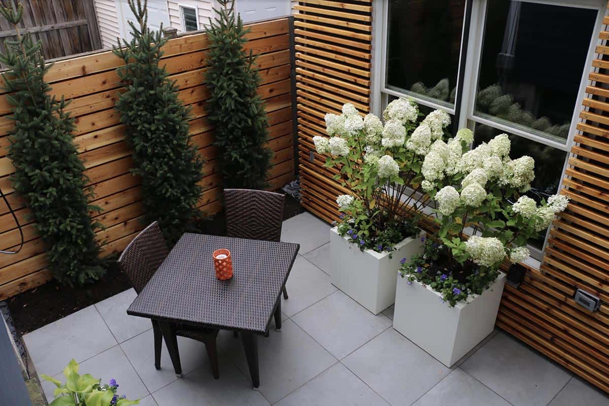 Small side yard patio with a dark wicker bistro table and chairs, gray porcelain pavers, tall potted evergreens, a cedar fence and slat trellis, and large white planters with hydrangeas and pansies