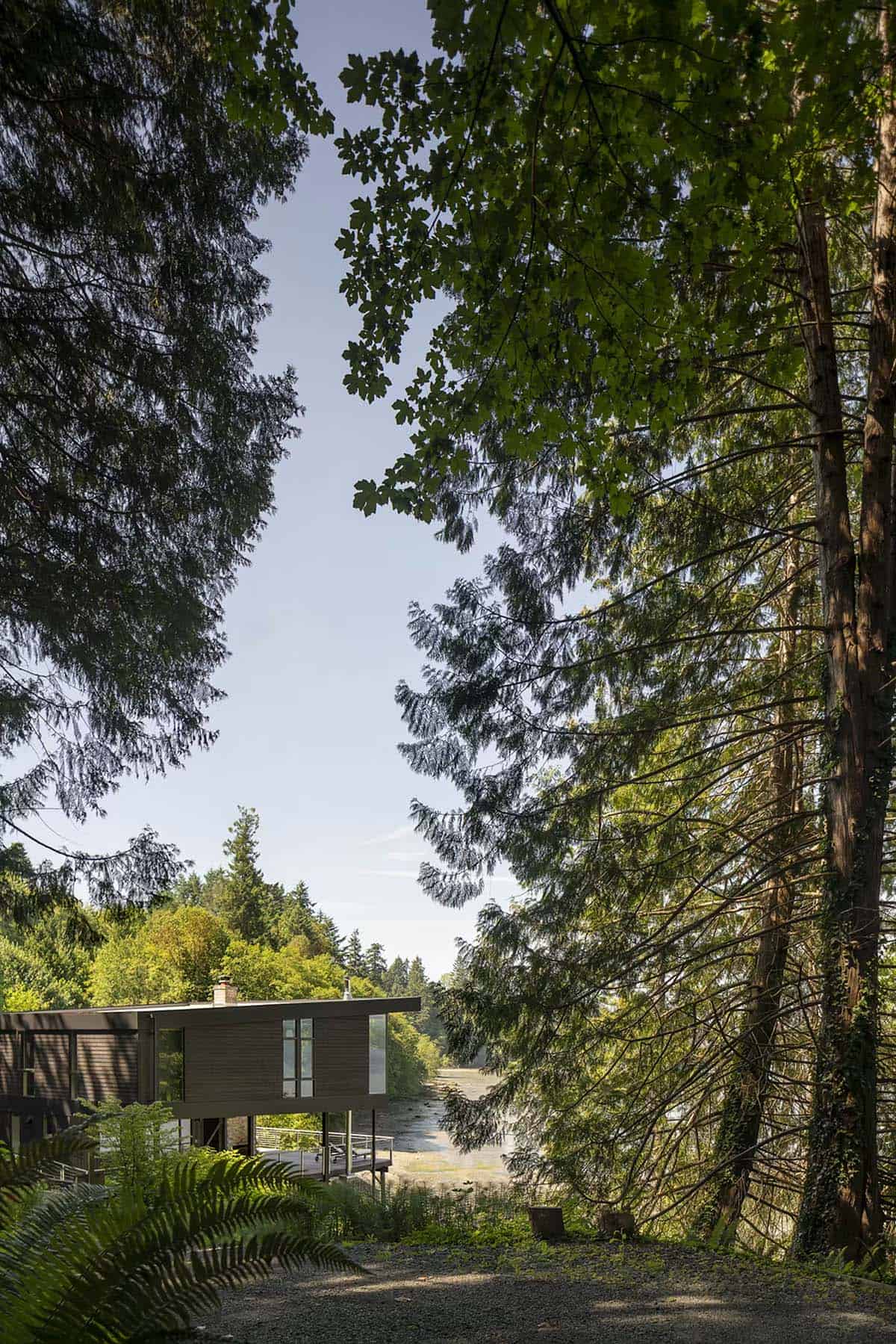 Distant view of dark modern house through tall evergreen trees, low tide flats visible below