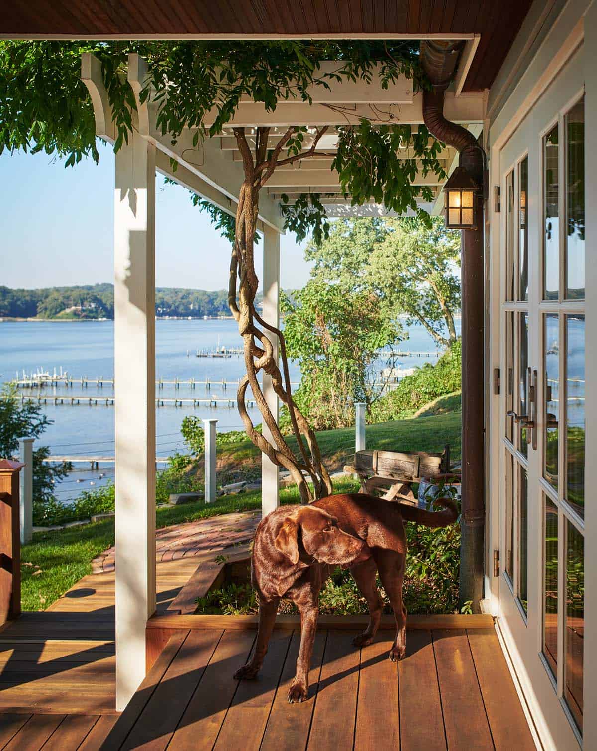 Dog standing on porch overlooking river and dock