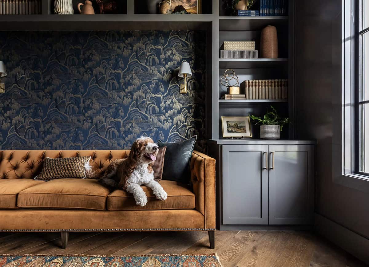 Dog lounging on rust velvet sofa with blue wallpaper in the study