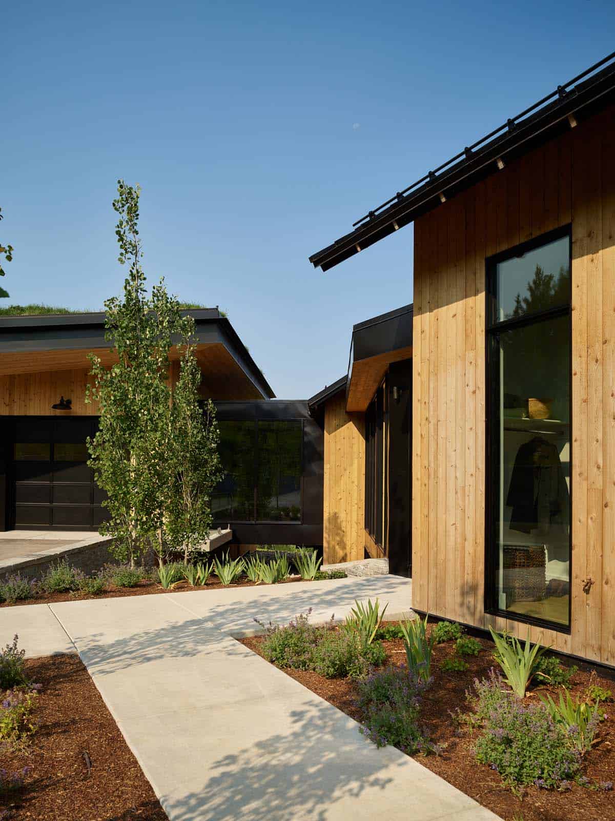 Wood siding exterior with black metal roof and aspen tree