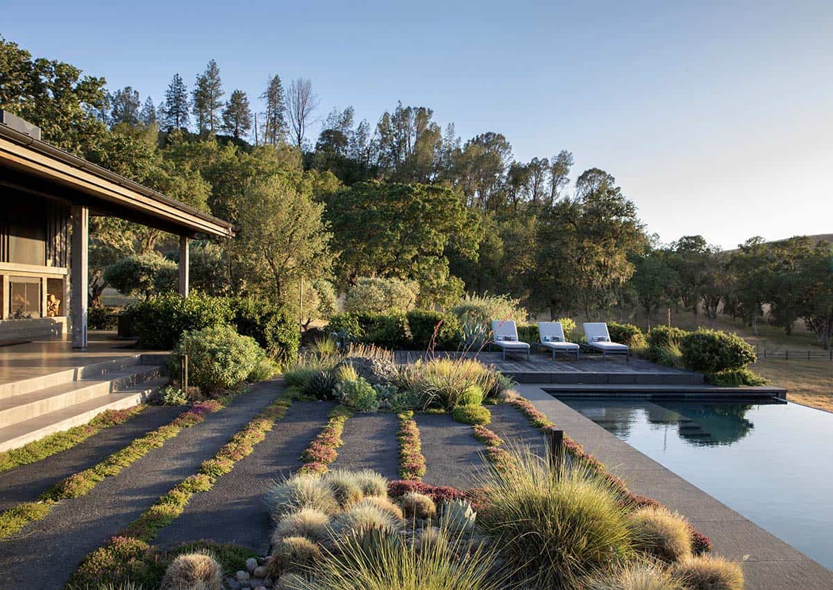 Drought-tolerant terraced landscaping leading to an infinity-edge pool with hillside backdrop
