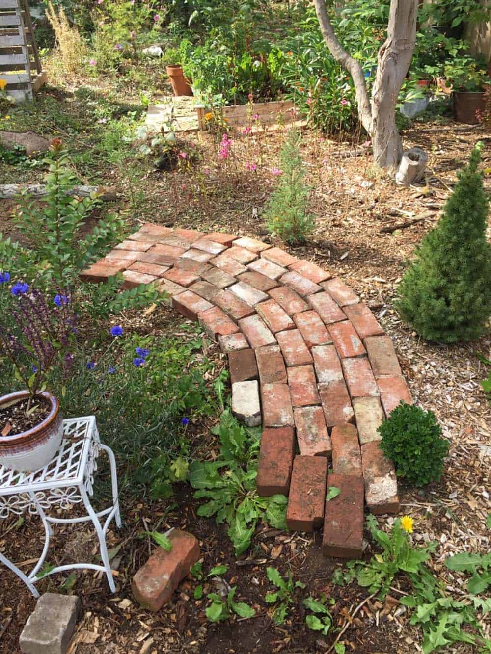 Reclaimed bricks laid flat and staggered diagonally to form a curving garden path