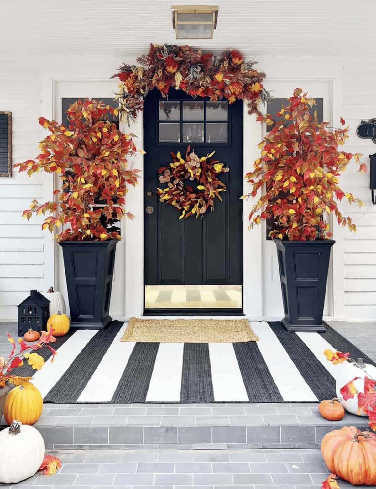 Black front door with fall ficus tree planters and pumpkins